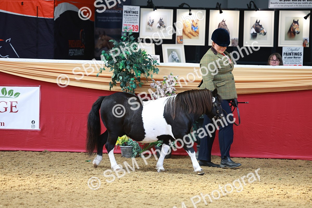 SBM_04168 - Class 9R - IH Pre-Vet