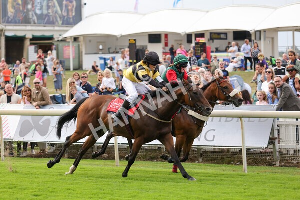 yr04092022p1-46 - 12.30pm 148cm Conditions Pony Race