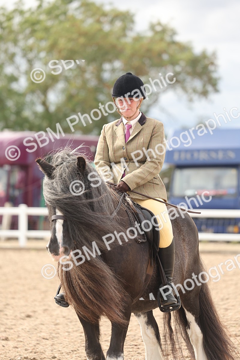 SBM_18040 - Class 314 - Family Horse Pony