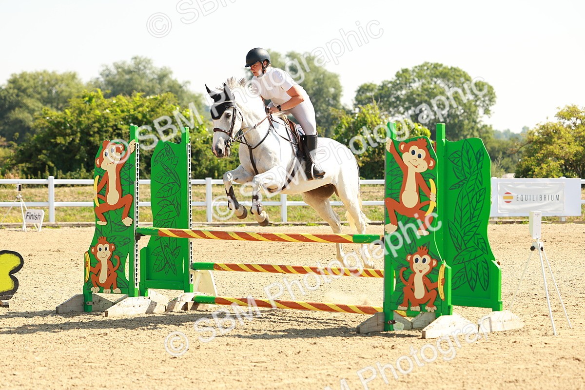 SBM_000080 - Class 2 - Senior British Novice - 90cm