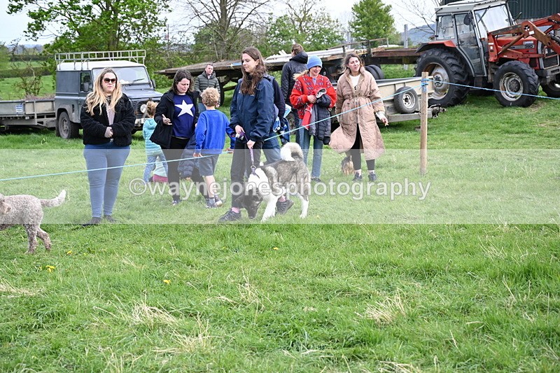 WJ6_8481 - Class 6 Best Rescue