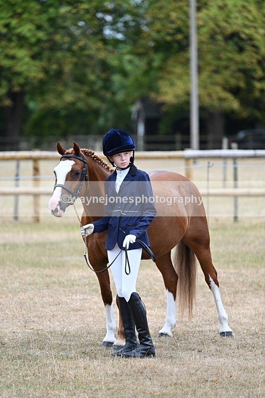 WJ7_8125 - Class 4 Prettiest Mare up to 14.2hh