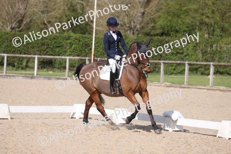 20260405-0919 - Pony FEI