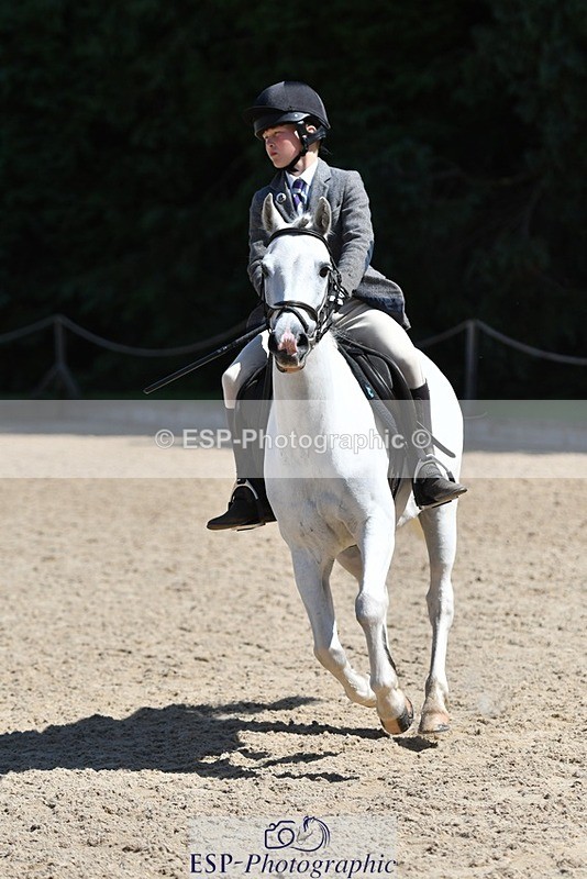 240728-114514-03752 - PC80, Round 2