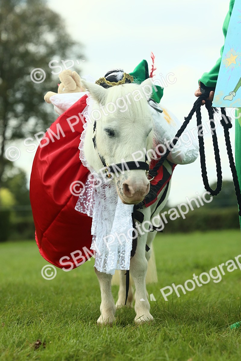 SBM_63611 - S35 - Fancy Dress Showing