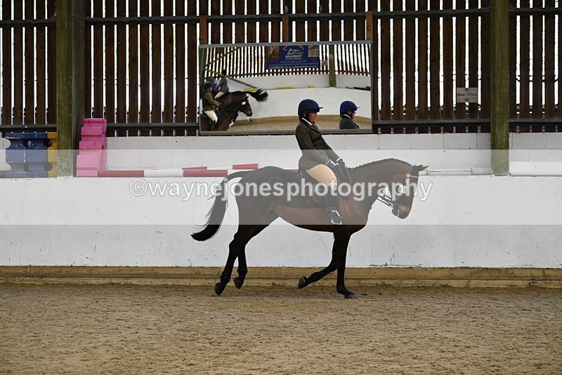 WJ5_7721 - Class 13 Ridden Part Breed
