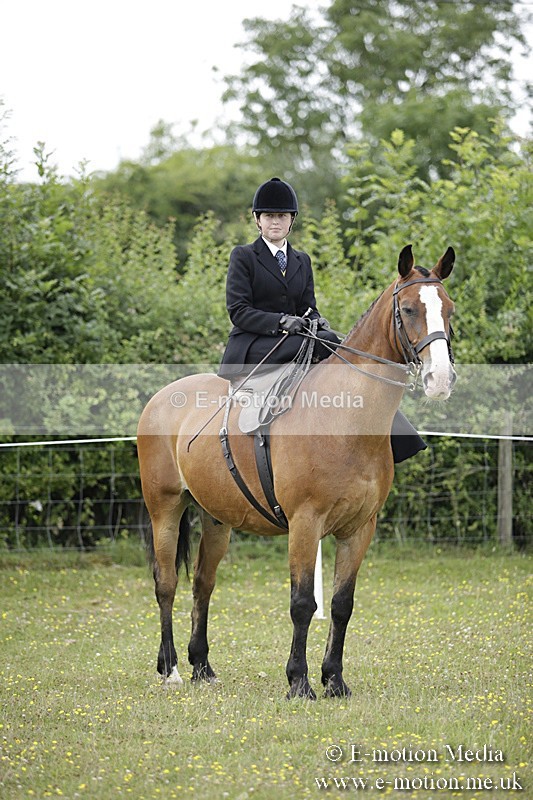 BVR160717-1950 - Side Saddle Classes 16/07/17