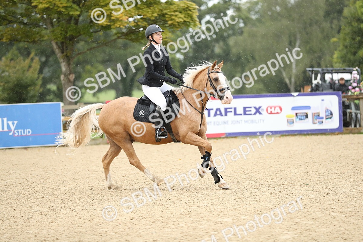 SBM_00968 - J27 - Senior Horse & Pony 50cm Championships