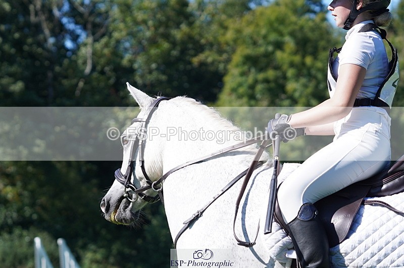 240811A-160622-06184 - 407-