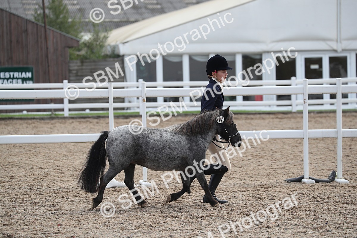 SBM_23289 - Class 606 - 2025 Area - IH Pre Vet