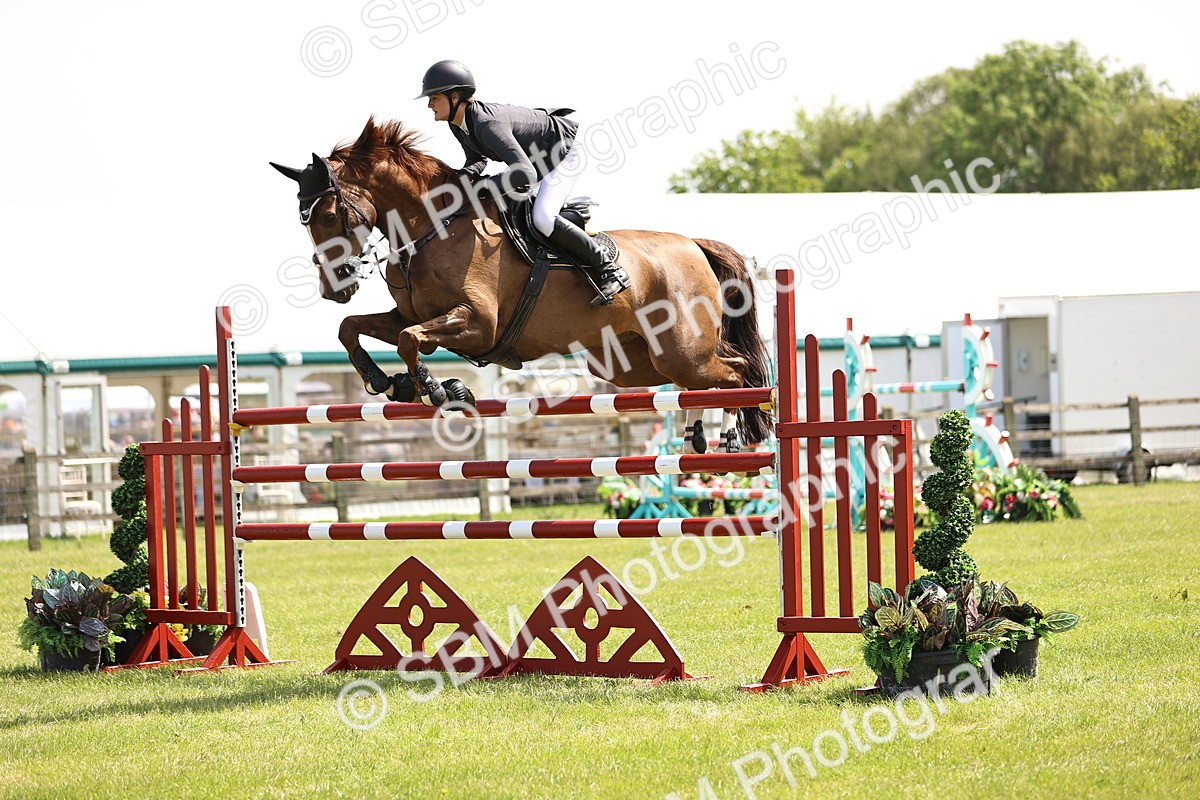 SBM_04011 - Class 201 - British Horse Feedds Speedi Beet HOYS Grade C