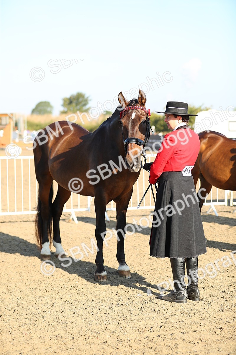 SBM_00007 - Class 40 Best Turned Out IH