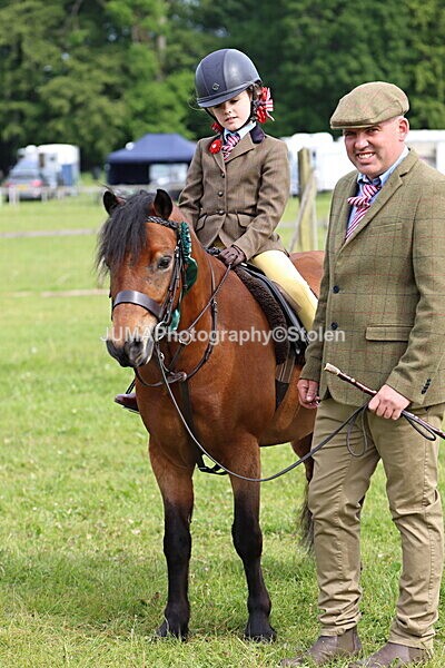 IMG_2347 - Working Hunter
