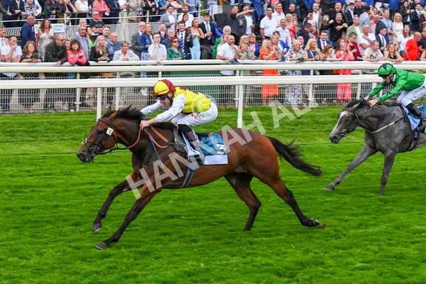 280723-Race 7-Knebworth-0798 - Race 7 8.20pm Sky Bet Go-Racing-In-Yorkshire Summer Festival Handicap