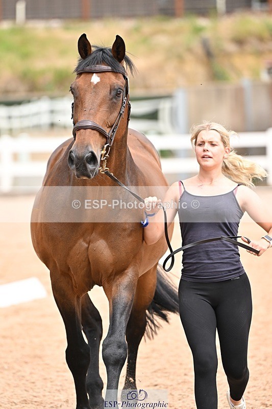 250716-144944-01439 - Trot Up 2.30 to 3.30