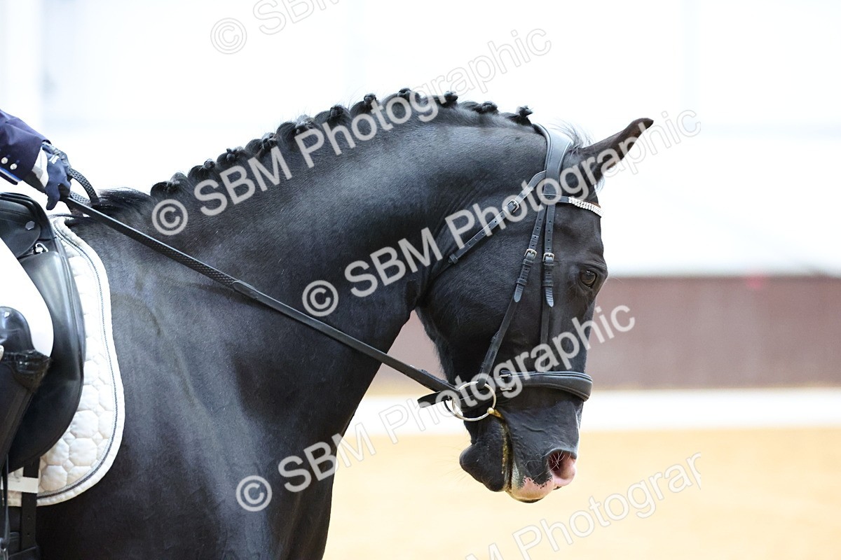 SBM_003346 - Elementary 1