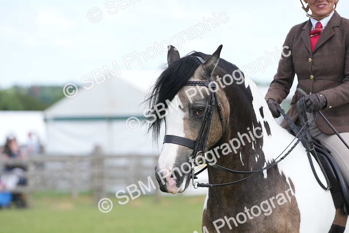 SBM_17213 - Class 107-108 - LIHS BSPS Performance Coloured Horse Pony