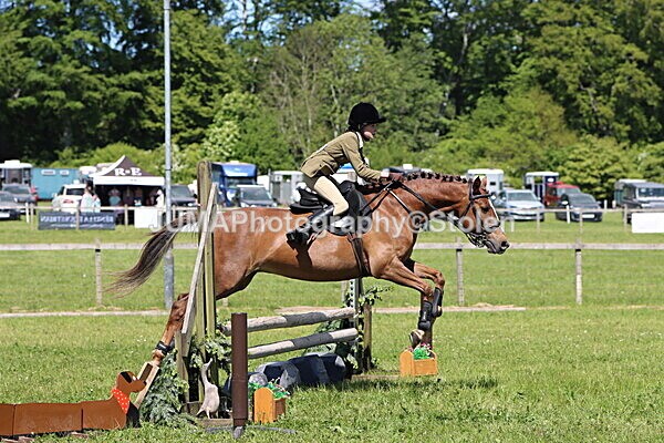 IMG_3639 - Working Hunter