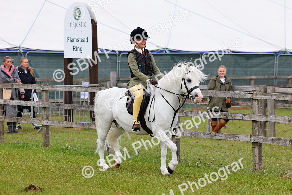 SBM_08516 - Class 42-43 - LIHS BSPS Heritage Working Sports Pony
