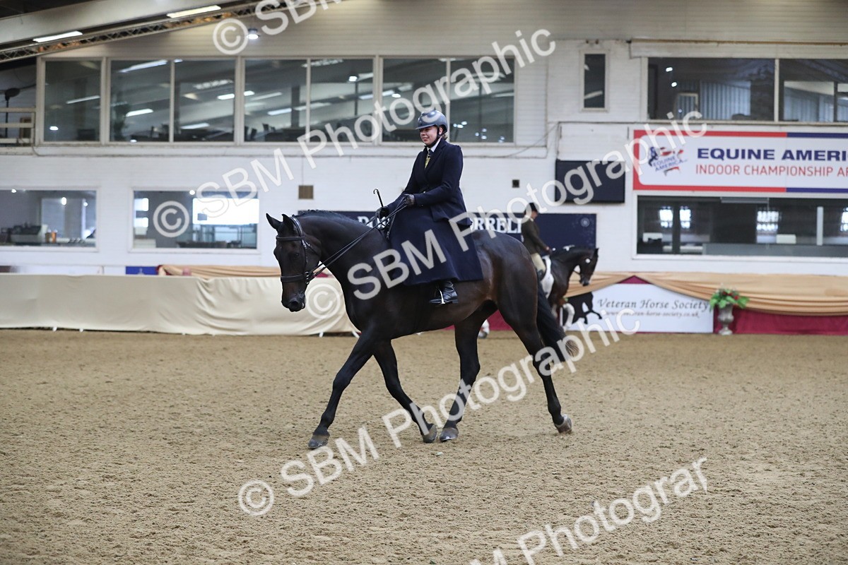 SBM_10399 - Class 102 Equitation (best rider) Adult