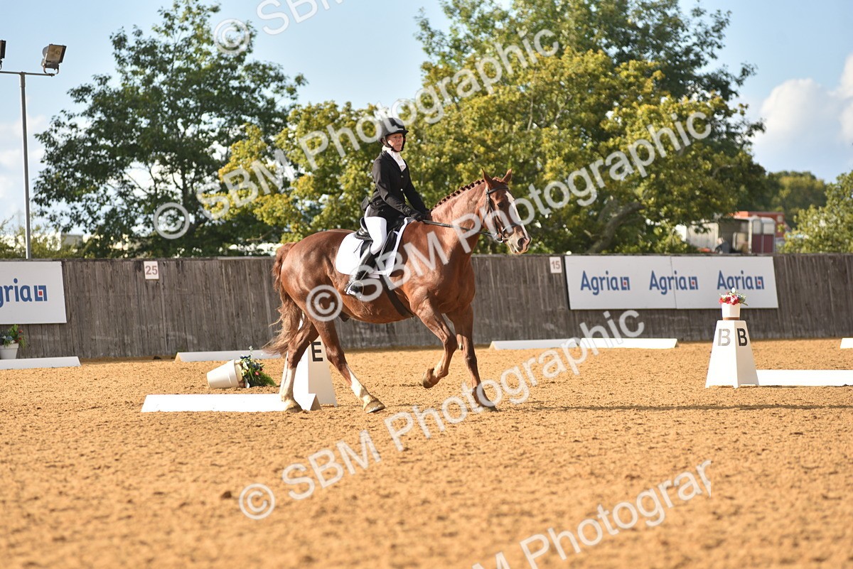SBM_11394 - D15 - Small Tour Championship Novice 1