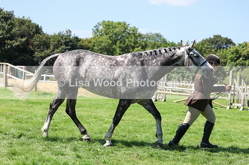 3E7A9063 - Class 6: Open Working Horse