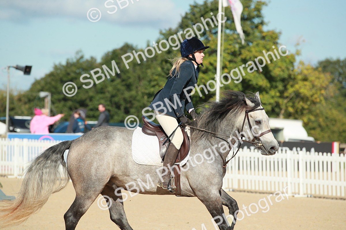SBM_01629 - J27 Senior 50cm Championship