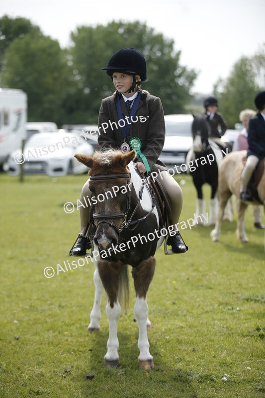 20260426-1968 - Class 8 - Prettiest Mare
