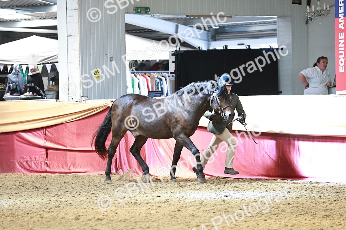 SBM_04732 - Class 7R - Regional IH Diamond