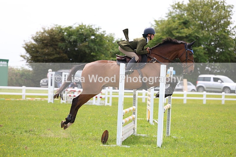 3E7A1614 - Class 13: Senior British Novice/90cm open