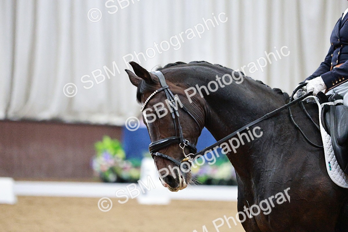 SBM_020697 - Class 13 - FEI INT I - 15.30-16.00