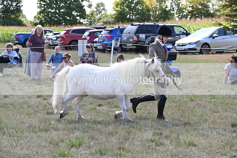 WJ6_4928 - Class 17 Mountain & Moorland