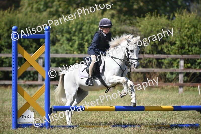 20260906-1718 - Class 9 - Absolute Novice Jumping 45cm