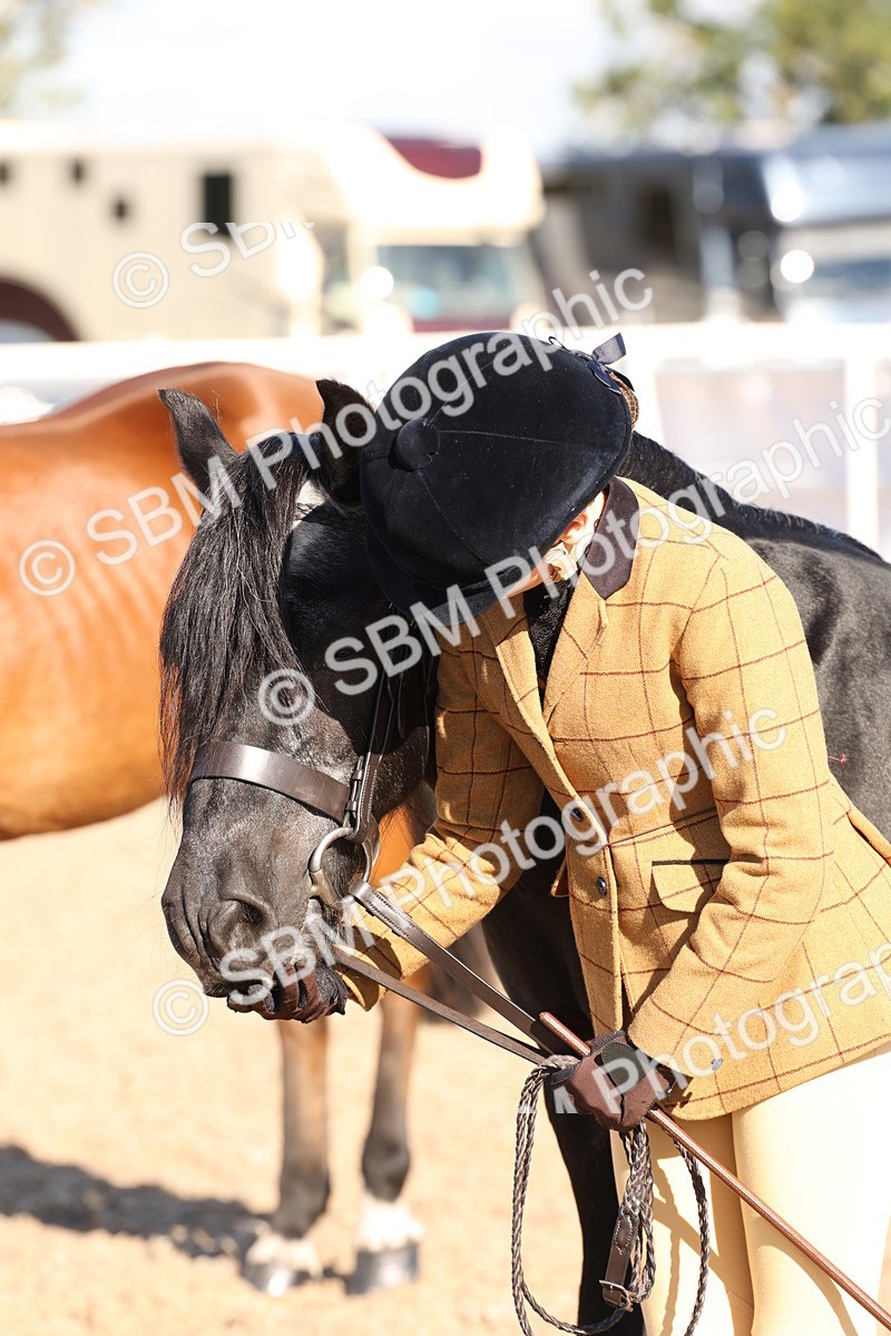 SBM_11759 - Class 204 - Young Handler 11 to 16 years