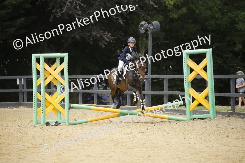 20250622-4721 - 50cm