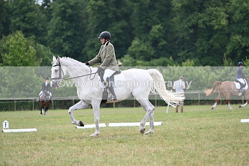 WJ7_5171 - Time 11:22 to 11:51