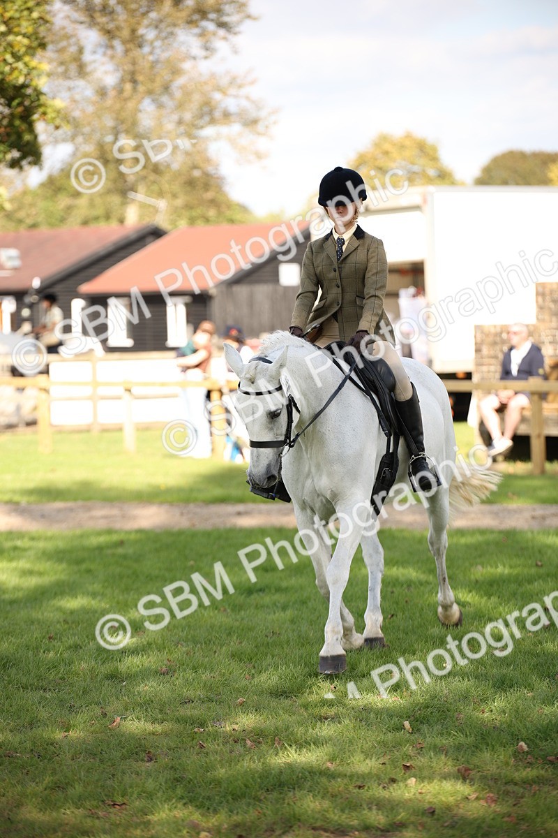 SBM_50053 - S26 - Young Veteran - Ridden