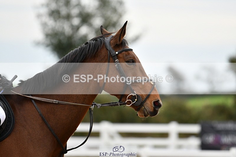 241013B-165612-02305 - Cls 8 1m