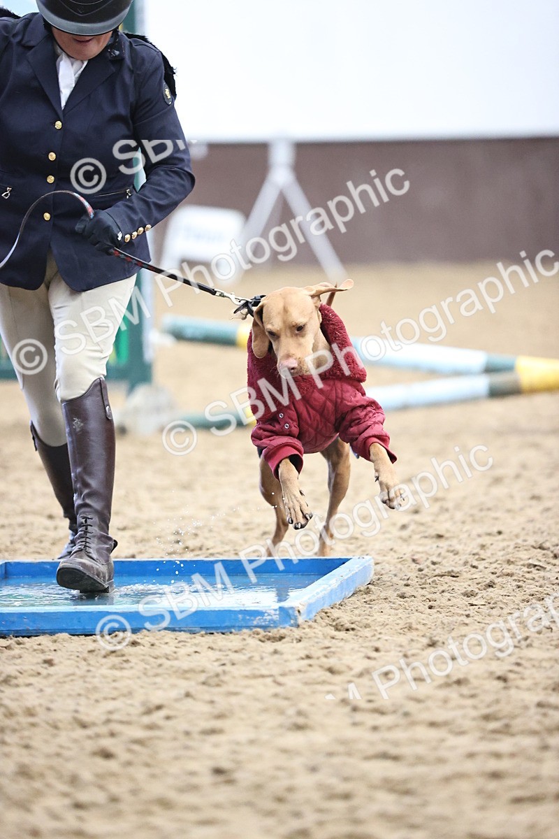 SBM_001477 - Class 3 - Horse & Hound 60cm