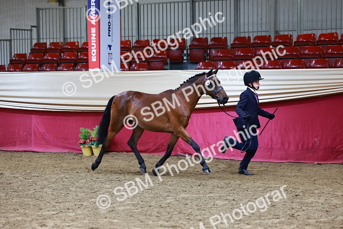 SBM_22123 - Class 902 - Supreme Final - IH Diamond