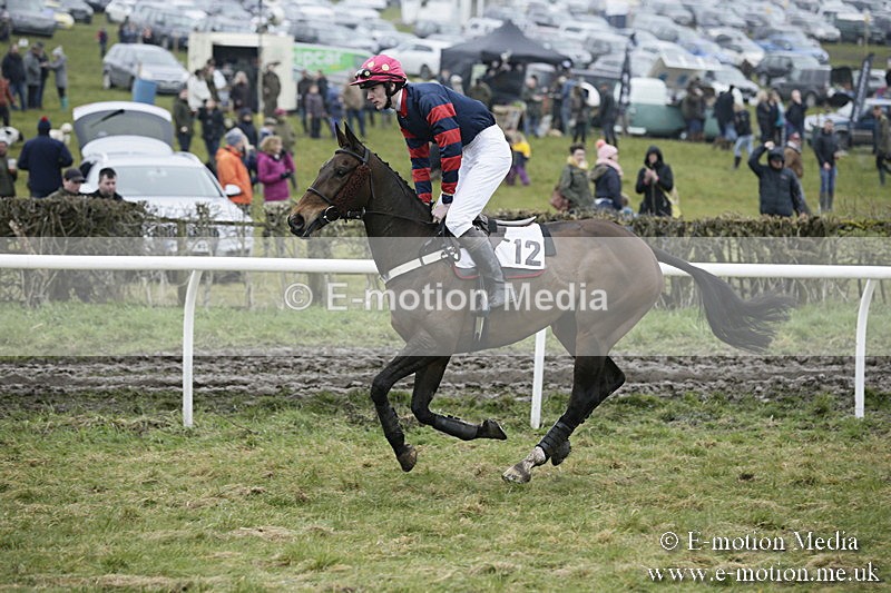 PtP 020418 -87 - Old Berks Point-to-Point Races Easter Monday 02/04/18