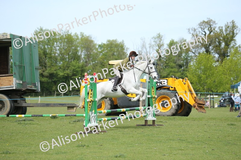 20260426-2062 - Class 15 - Absolute Novice 70cm