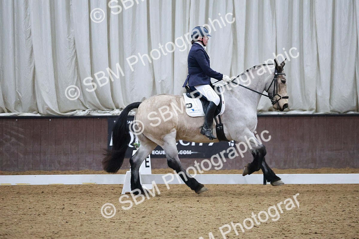 SBM_005591 - Medium Music-Medium 2-Adv Med 1