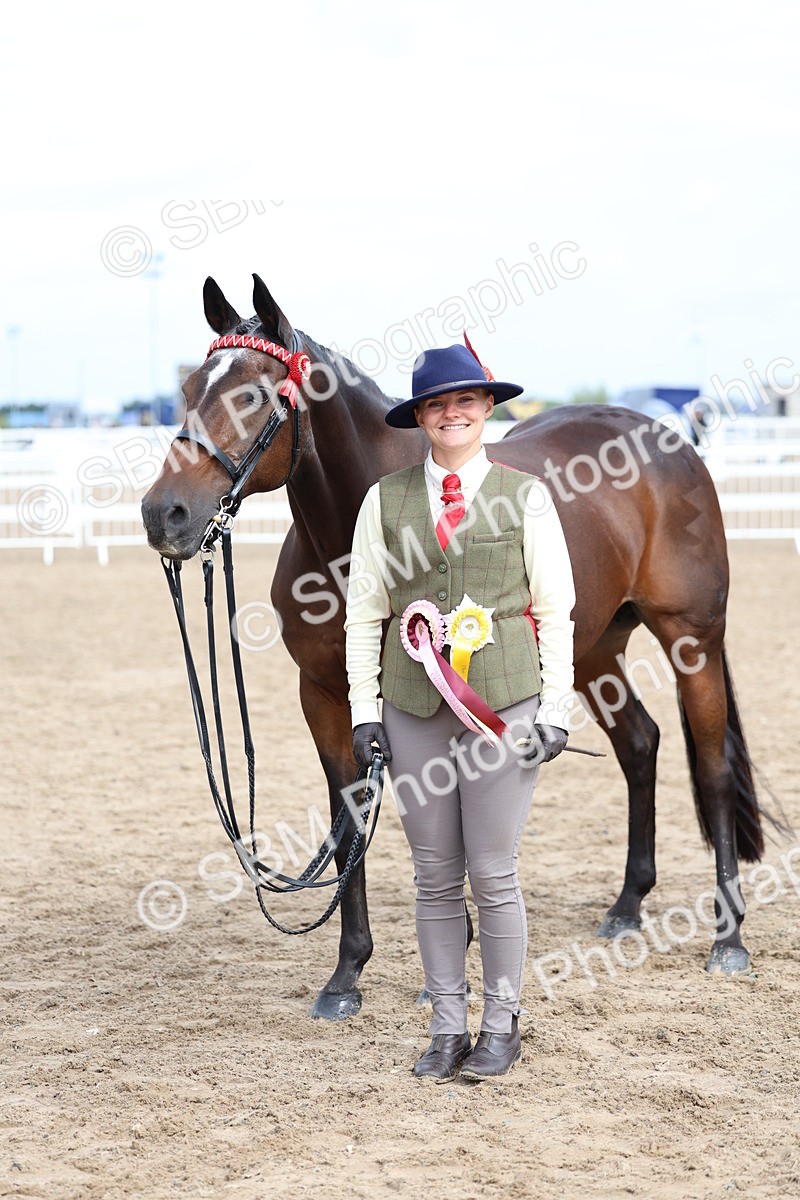 SBM_01533 - Class 17 - Prettiest Mare