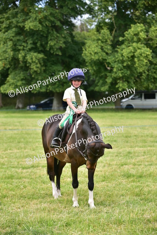 20260614-2712 - Class 13 - Pony Club Pony