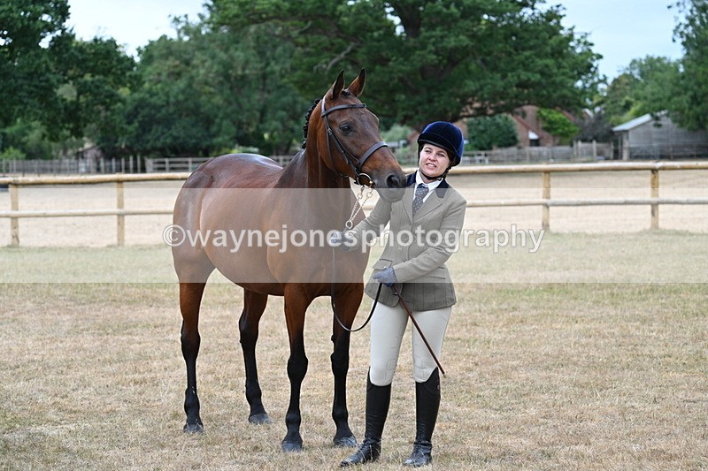 WJ7_9160 - Class 4a Prettiest Mare 14.2hh and over