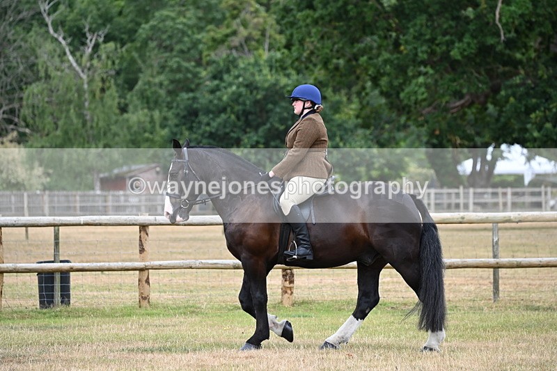 WJ6_3779 - Class 9 Tack & Turnout