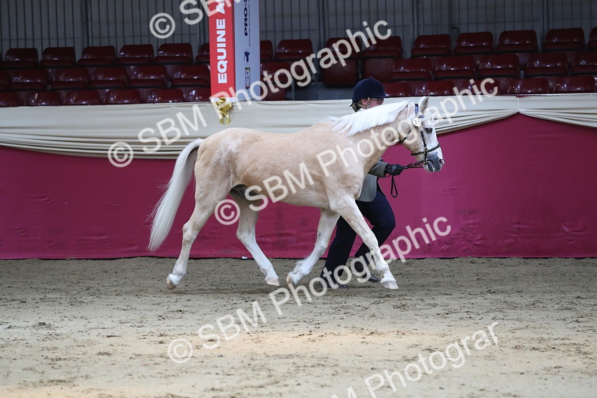 SBM_04383 - Class 7R Regional - IH Diamond