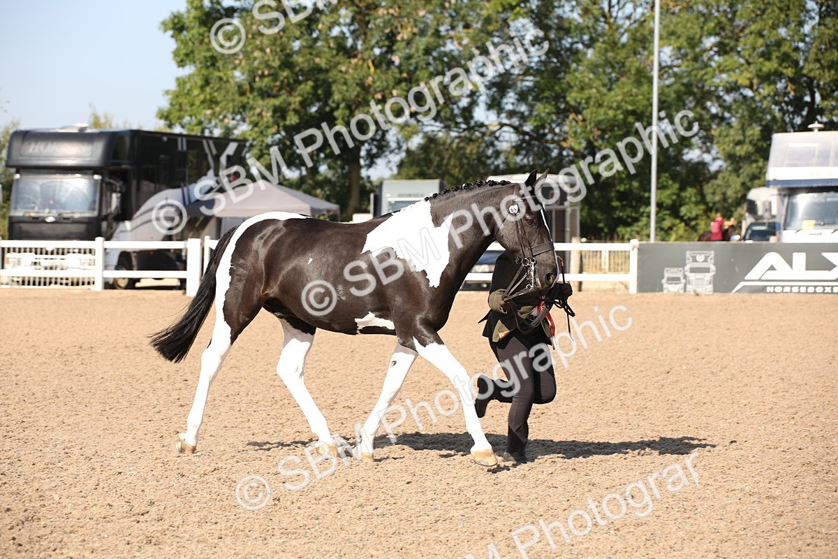 SBM_01575 - Class 15 IH Coloured