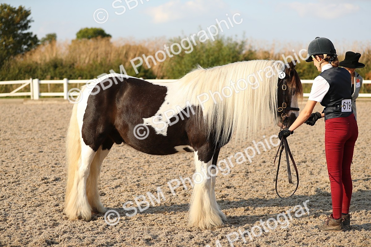 SBM_09073 - Class 29 IH Veteran Pony
